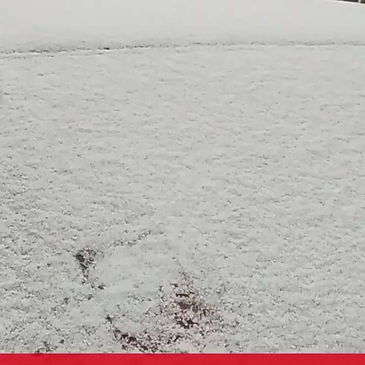 ❄️ Boss Babe Ice Scraper – No Frost, No Stress